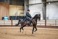 18 - WCB HA/AA Country English Pleasure Junior Horse Championship