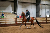 97 - WCB Arabian English Show Hack OPEN Championship