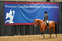 WCB June 28, 2026 - 1682