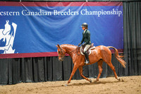 106 - 102 WCB Arabian HA/AA Hunter Pleasure Junior Horse Championship