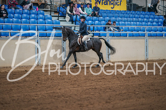 Aurora Show June 7, 2024  - 02765