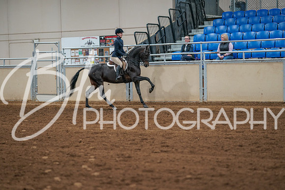 Aurora Show June 7, 2024  - 02801