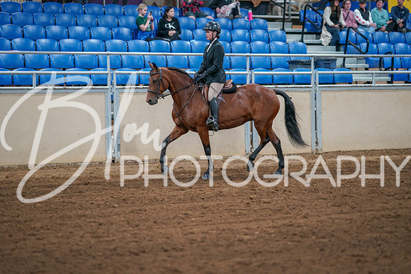 Aurora Show June 7, 2024  - 02757