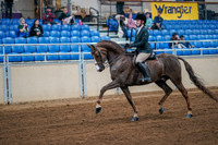 Aurora Show June 7, 2024  - 02746