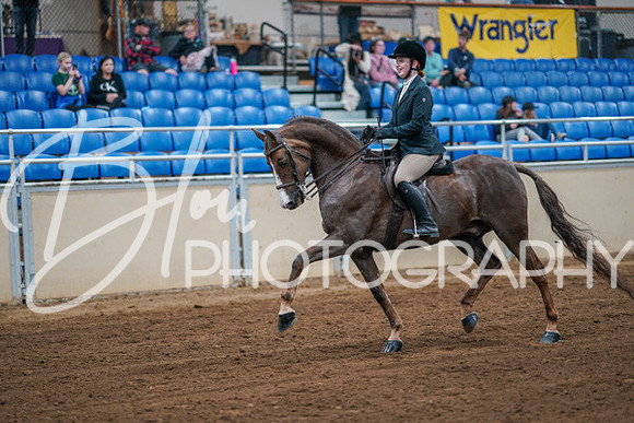 Aurora Show June 7, 2024  - 02746