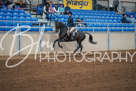 Aurora Show June 7, 2024  - 02764