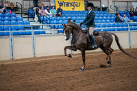 Aurora Show June 7, 2024  - 02744