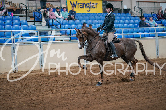Aurora Show June 7, 2024  - 02744