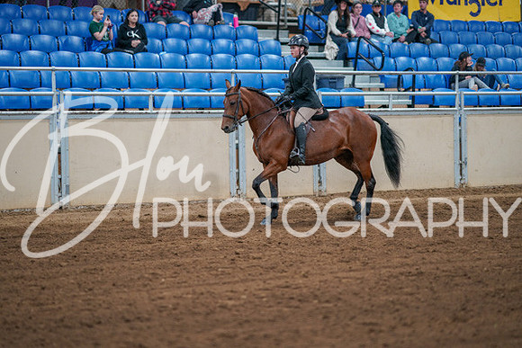 Aurora Show June 7, 2024  - 02755