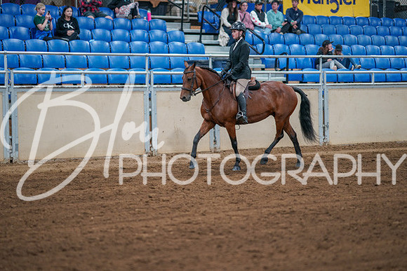 Aurora Show June 7, 2024  - 02754