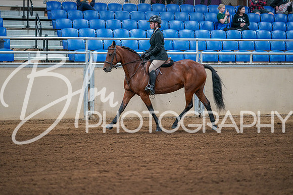 Aurora Show June 7, 2024  - 02758