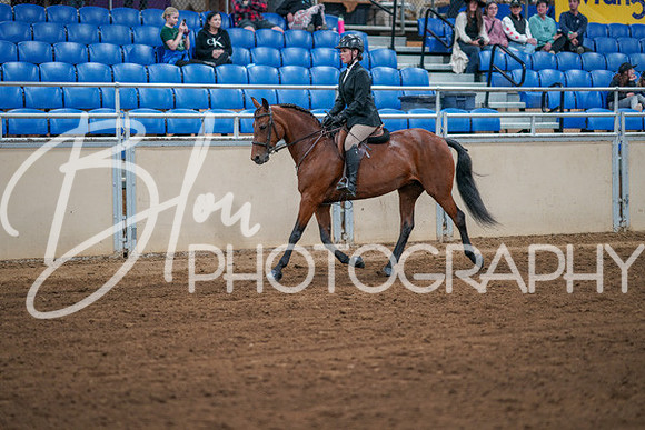 Aurora Show June 7, 2024  - 02756