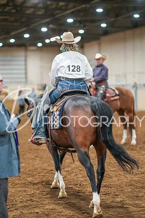 Aurora Show June 8, 2024  - 05135