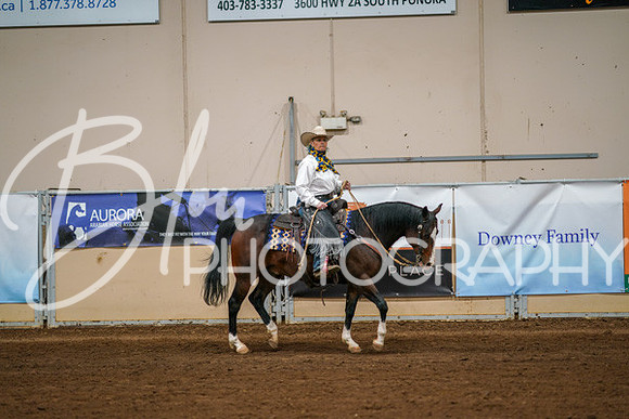 Aurora Show June 8, 2024  - 05091