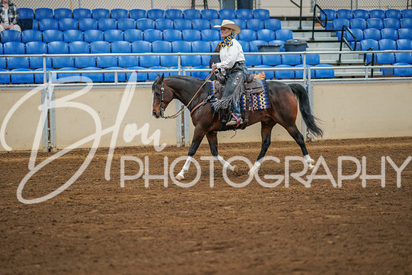 Aurora Show June 8, 2024  - 05025
