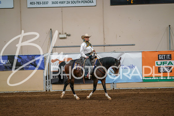 Aurora Show June 8, 2024  - 05094