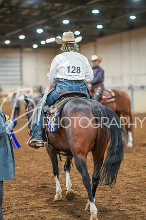 Aurora Show June 8, 2024  - 05134