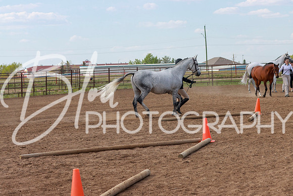Aurora - Friday, June 3, 2022 - 3280