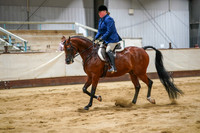Class 154 - WCB Arabian Hunter Pleasure AOTR Championship