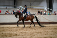 Class 126 - WCB Arabian Hunter Pleasure AATR Championship