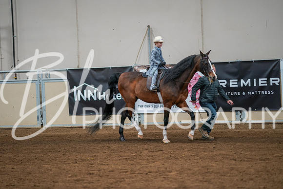 Aurora Show June 8, 2024  - 00913