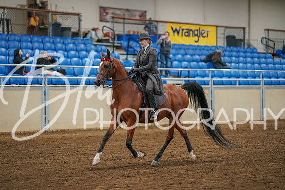 Aurora Show June 8, 2024  - 02503