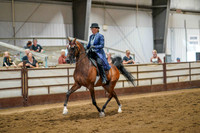 380 Region 17 Arabian Country English Pleasure AAOTR Championship