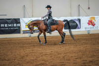 Aurora June 8, 2025 - 1684