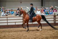 315 - Region 17 HA/AA Country English Pleasure Select ATR Championship MSH
