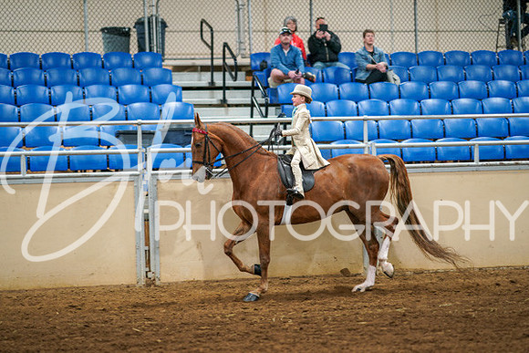 Aurora Show June 6, 2024  - 03873