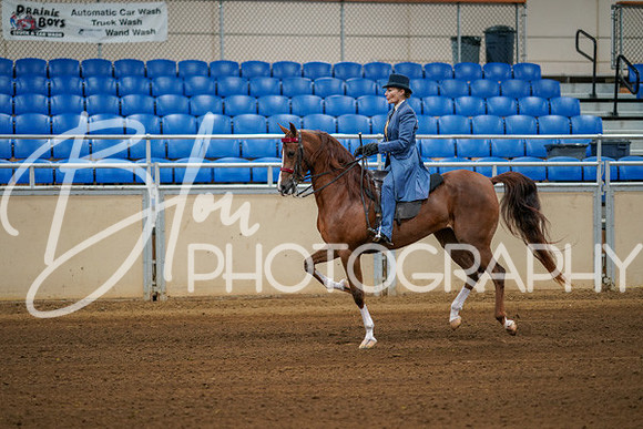 Aurora Show June 8, 2024  - 00369