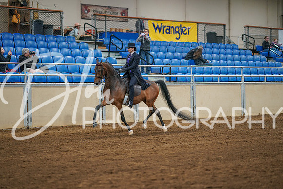 Aurora Show June 8, 2024  - 02506