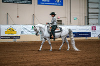 Aurora Show June 6, 2024  - 03771