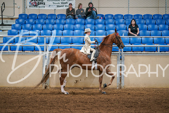 Aurora Show June 6, 2024  - 03883
