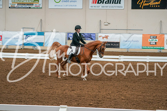Aurora Show June 6, 2024  - 00990