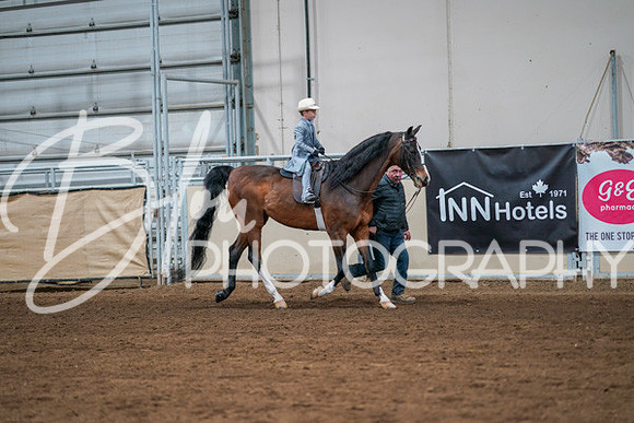 Aurora Show June 8, 2024  - 00910