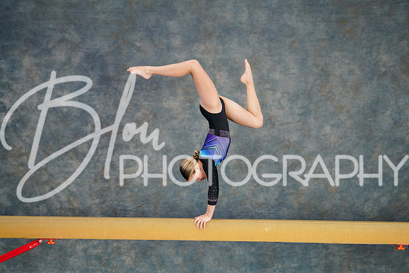 Airdrie Edge Gymnastics Feb 2, 2025 - 0163