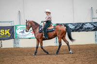 108 - Morgan Western Pleasure Stake