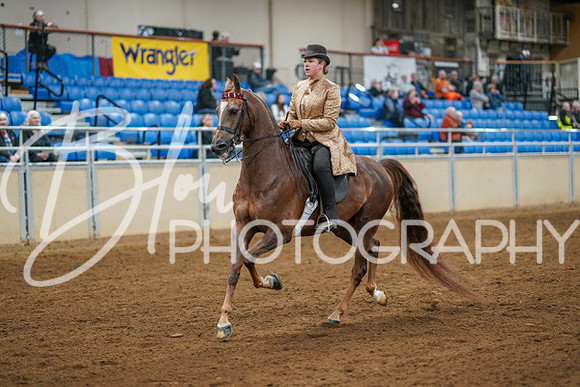 Aurora Show June 8, 2024  - 00963