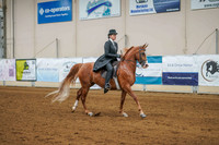 171 - HA/AA Country English Pleasure Junior Horse
