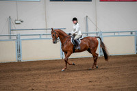 110 ASB HUNTER COUNTRY PLESURE OPEN, STAKE