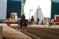 324 Region 17 Arabian Reining Championship