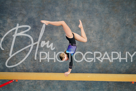 Airdrie Edge Gymnastics Feb 2, 2025 - 0161