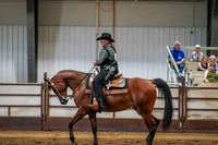 377 Region 17 HA/AA Western Pleasure Open Championship