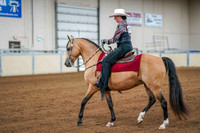 97 MORGAN WESTERN PLEASURE, STAKE