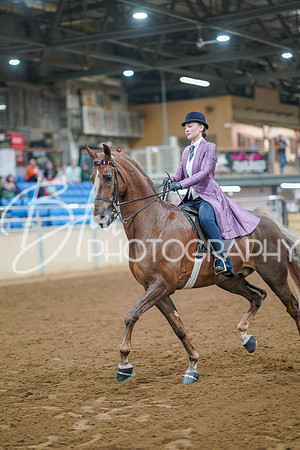 Aurora June 6, 2025 - 0673