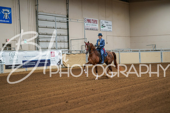 Aurora Show June 8, 2024  - 00413
