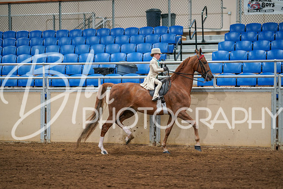 Aurora Show June 6, 2024  - 03879