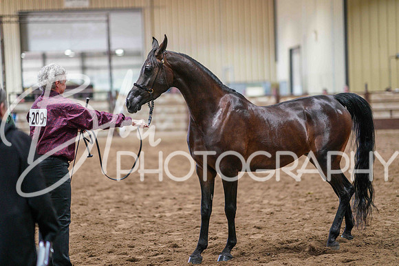 Region 17 July 10, 2025 - 6123