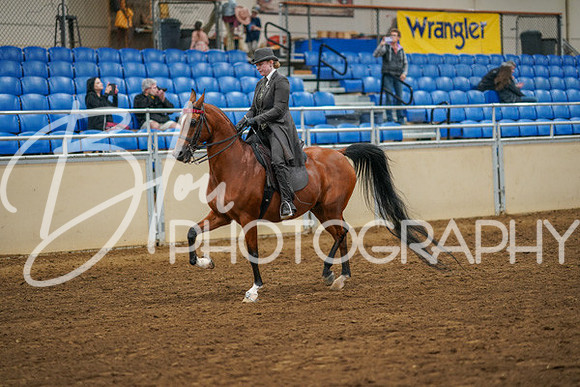 Aurora Show June 8, 2024  - 02556